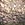 haloform